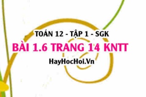 Bài 1.6 trang 14 Toán 12 tập 1 Kết nối tri thức